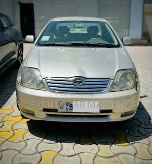 Toyota Corolla 2003 Gray