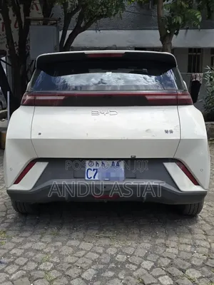 BYD Seagull 2025 White