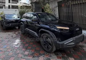 BYD Leopard 3 2025 Black