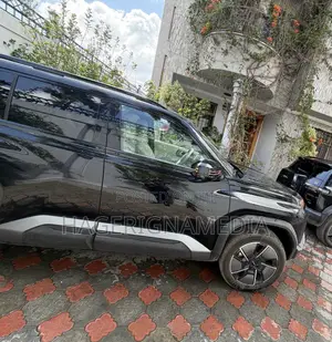 BYD Leopard 3 2025 Black