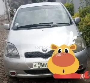 Toyota Vitz 2001 Silver