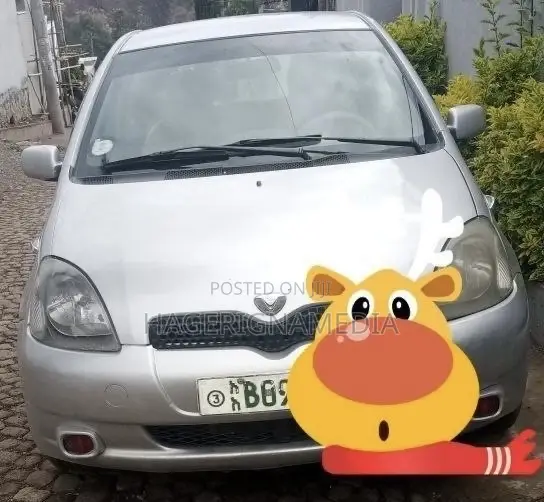 Toyota Vitz 2001 Silver