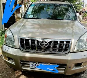 Toyota Land Cruiser Prado 2006 Brown