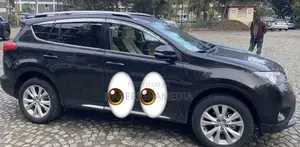 Toyota RAV4 2015 Black