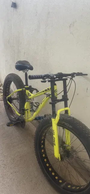 Fat Bicycle
