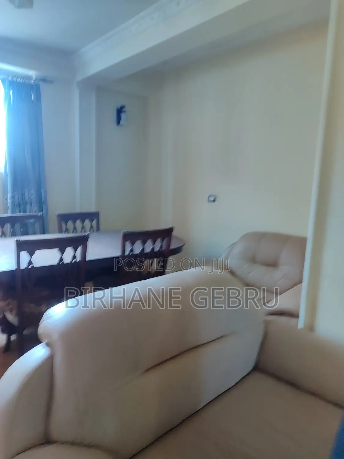 Furnished 10bdrm House in G+3, Bole for rent