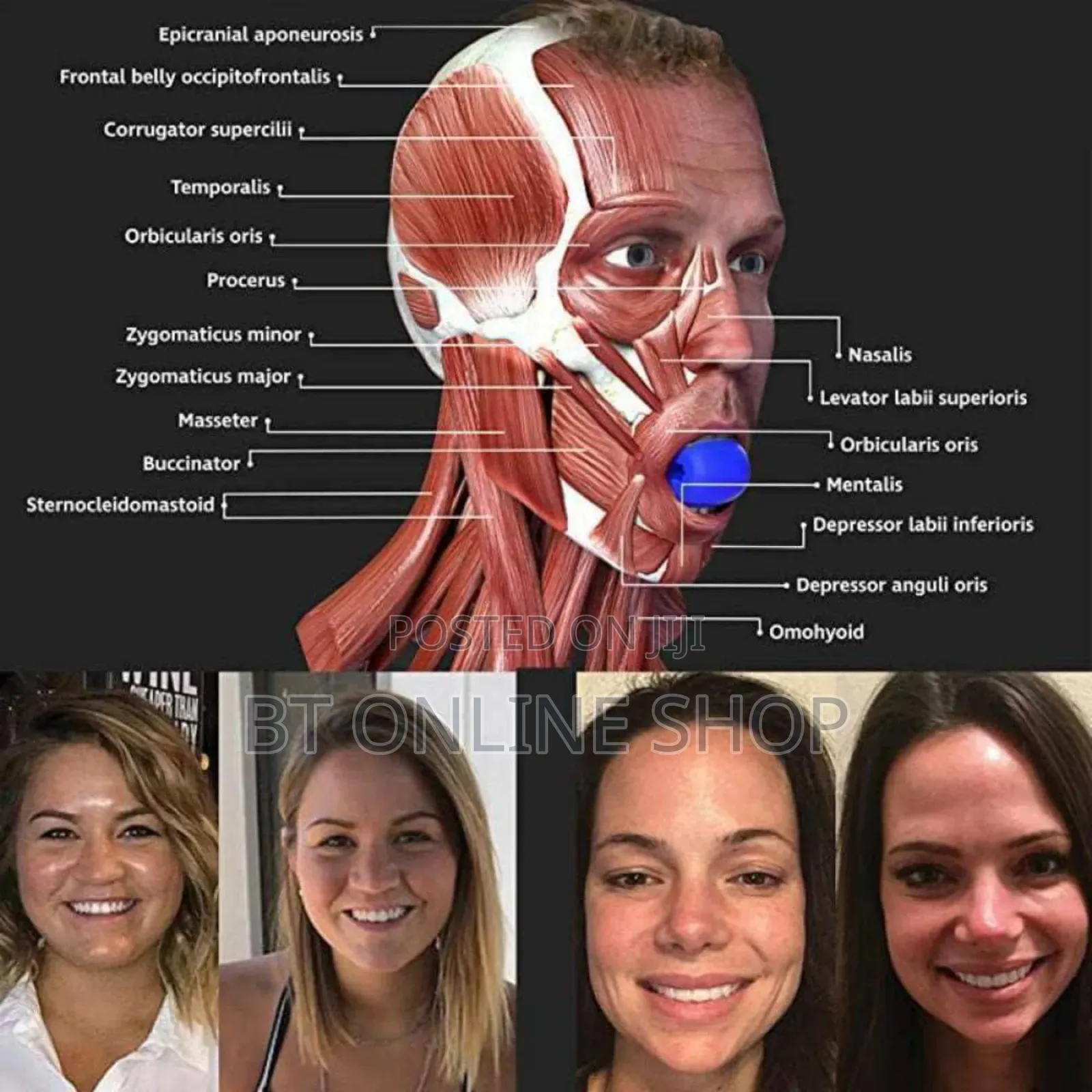 Jawline Exerciser for Facial Muscles