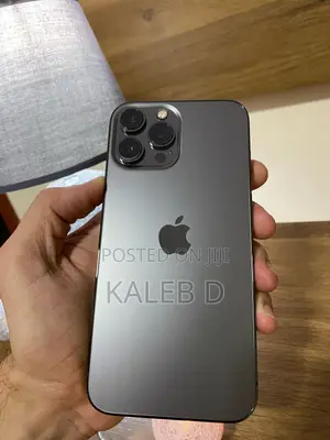 Apple iPhone 13 Pro Max 256 GB Silver