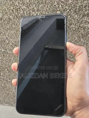 Apple iPhone 11 Pro Max 256 GB Gray