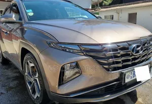 Hyundai Tucson 2021 Brown