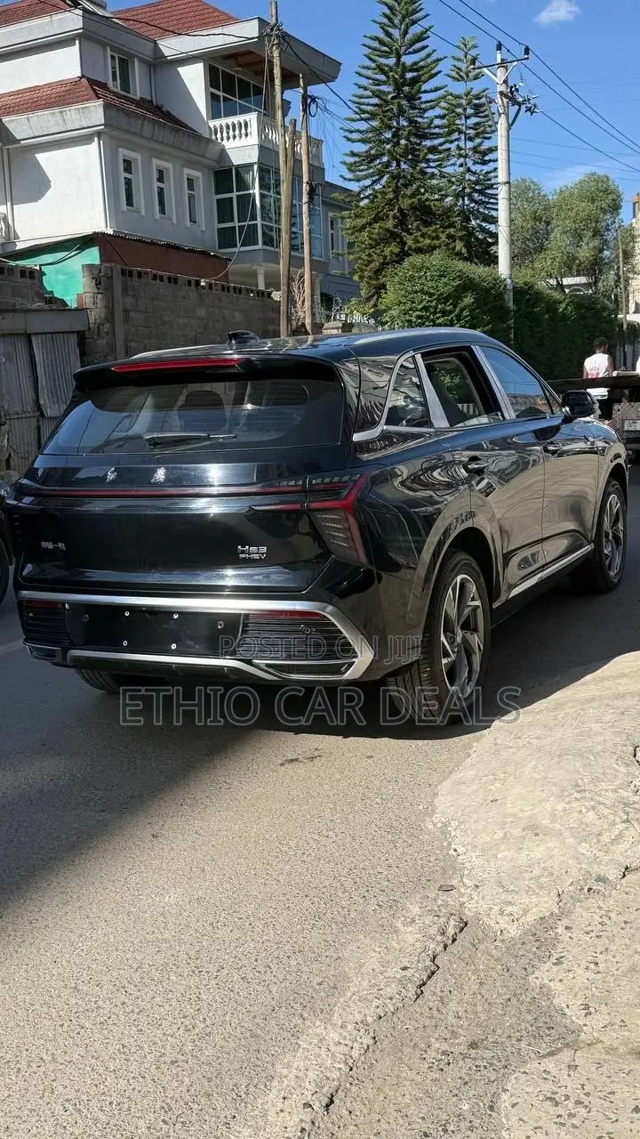 New Hongqi E-HS3 2023 Black
