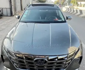 Hyundai Tucson Ultimate 2021 Gray