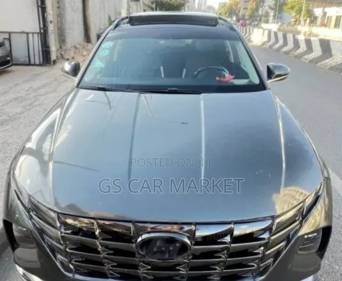 Hyundai Tucson Ultimate 2021 Gray