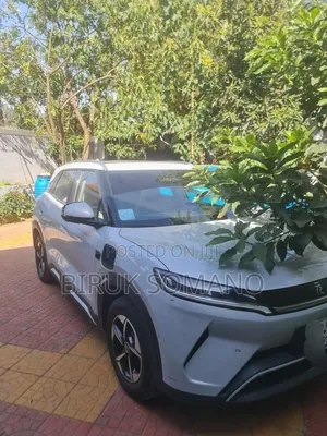 BYD Yuan Up 2024