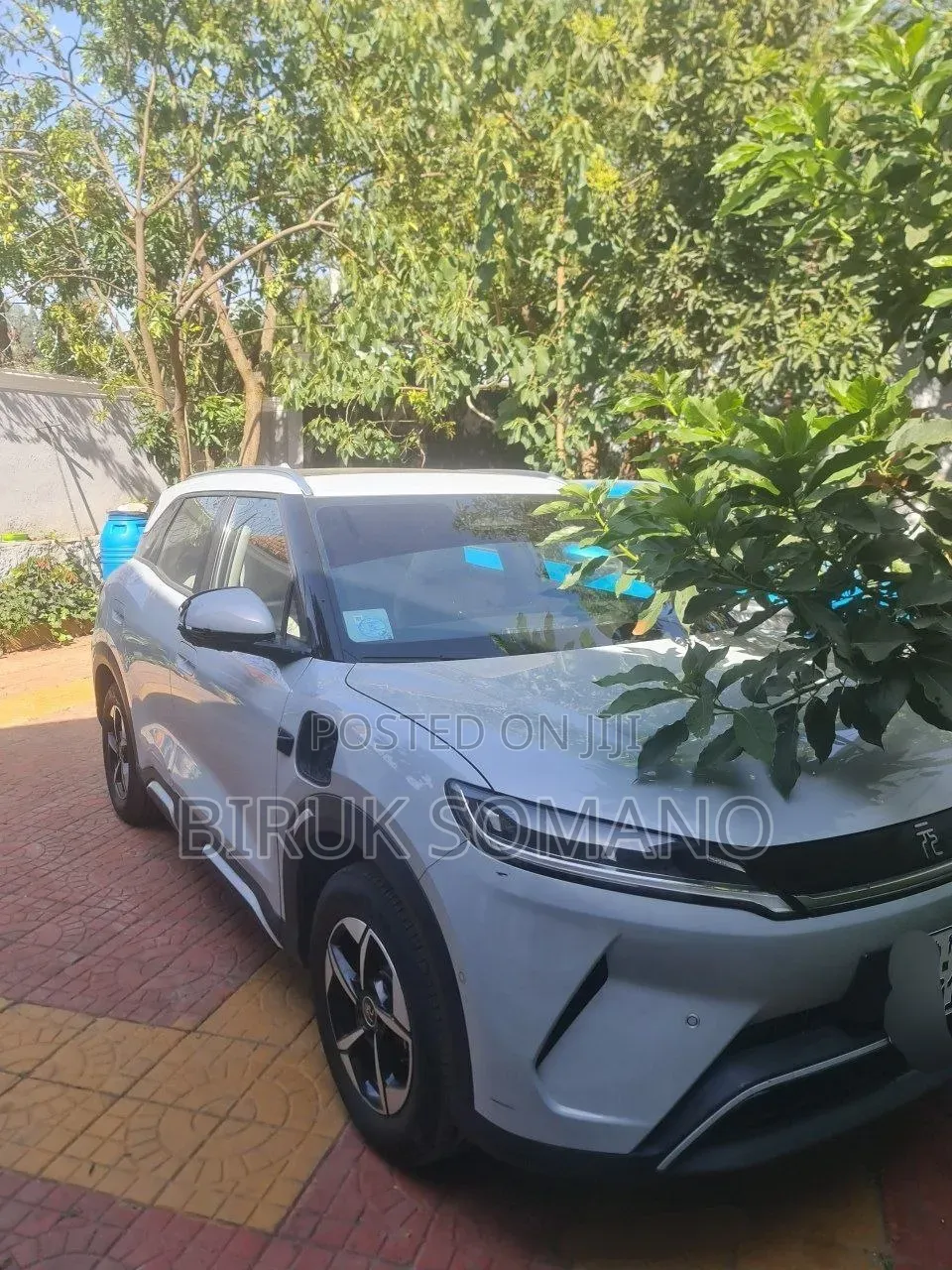 BYD Yuan Up 2024