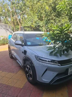 BYD Yuan Up 2024