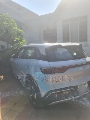 BYD Yuan Up 2024