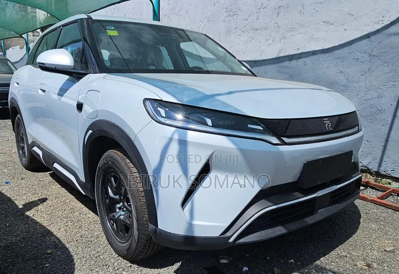 BYD Yuan Up 2024