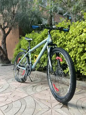 Phoenix Bike