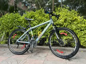 Phoenix Bike