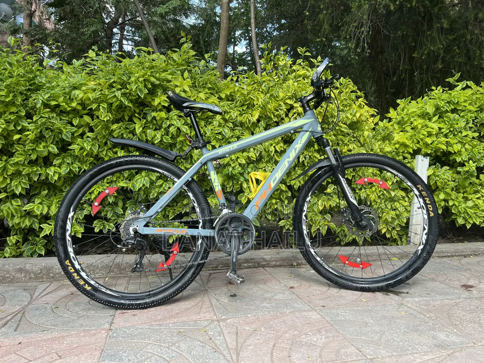Phoenix Bike