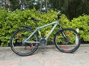 Phoenix Bike