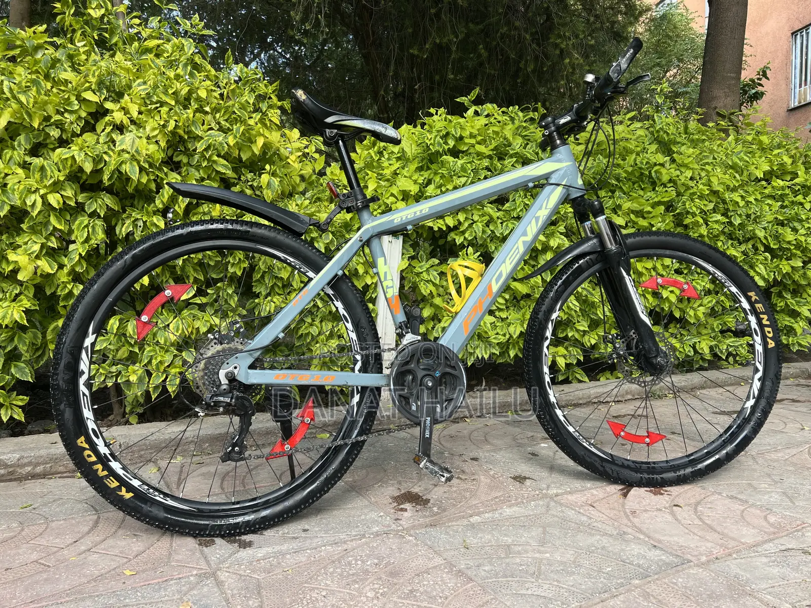 Phoenix Bike