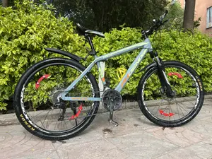 Phoenix Bike