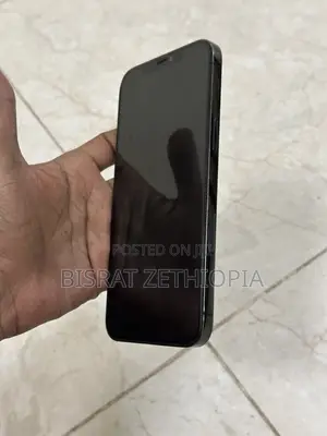 Apple iPhone 12 Pro Max 256 GB Gray