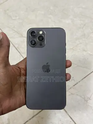 Apple iPhone 12 Pro Max 256 GB Gray