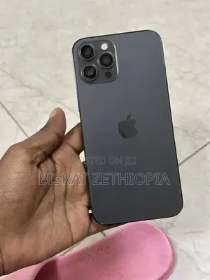 Apple iPhone 12 Pro Max 256 GB Gray