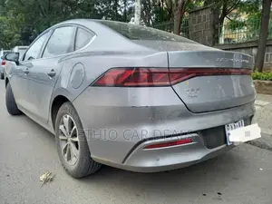 BYD Qin Plus DM-i 2025 Gray