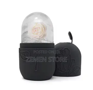Silicone Ice Roller Facial Massager Skin Contour Mold