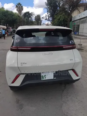 BYD Seagull 2025