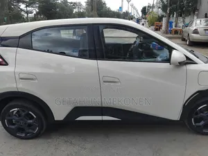 BYD Seagull 2025