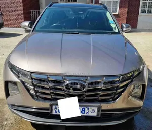 Hyundai Tucson 2021 Gray