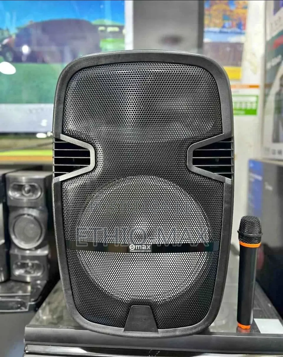 Max Professional Audio Speaker System