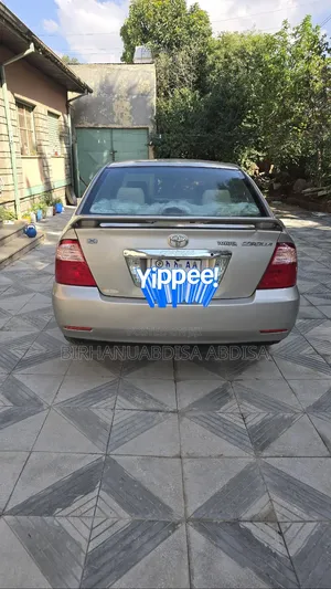 Toyota Corolla 2005 Gray