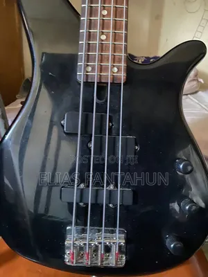 Bass Guitar