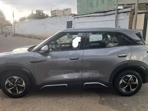 BYD Yuan Up 2024