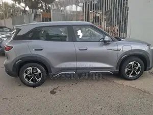 BYD Yuan Up 2024