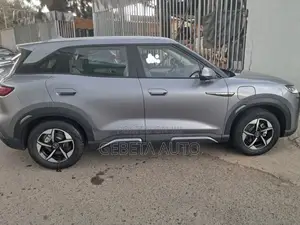 BYD Yuan Up 2024