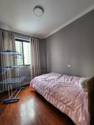 Furnished 3bdrm Apartment in Bole for rent