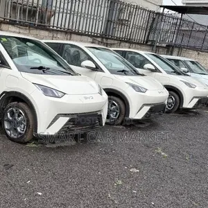 New BYD Seagull 2025 White