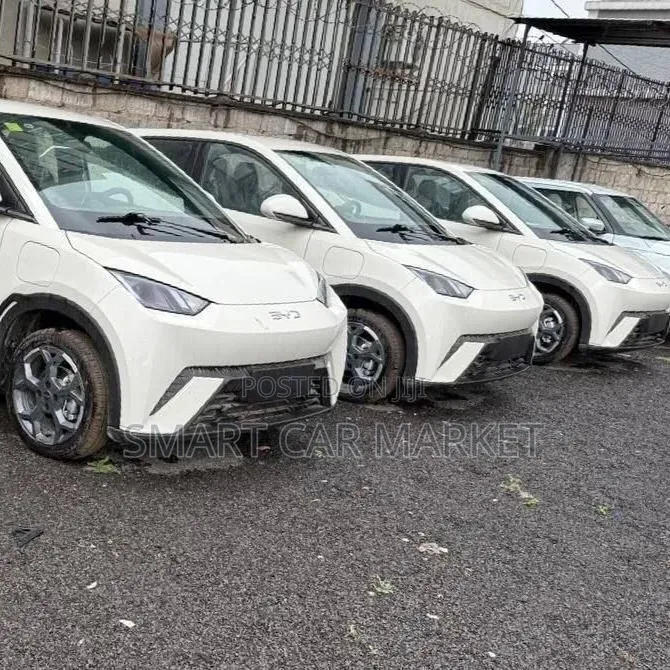 New BYD Seagull 2025 White