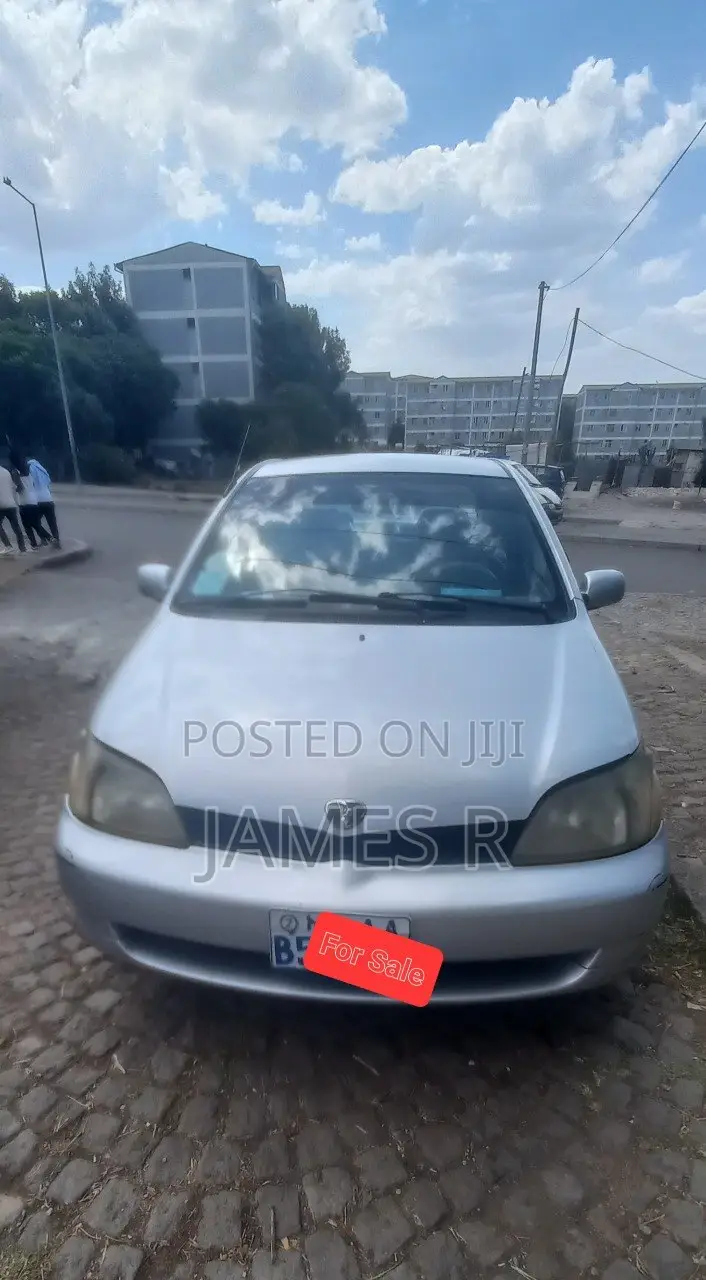 Toyota Platz 2001 Silver