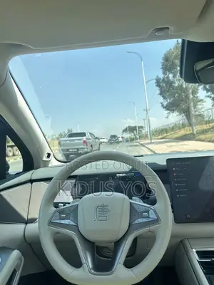 BYD Tang EV 2025