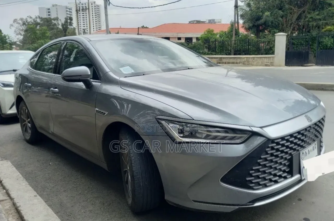 BYD Qin Plus DM-i 2025 Gray