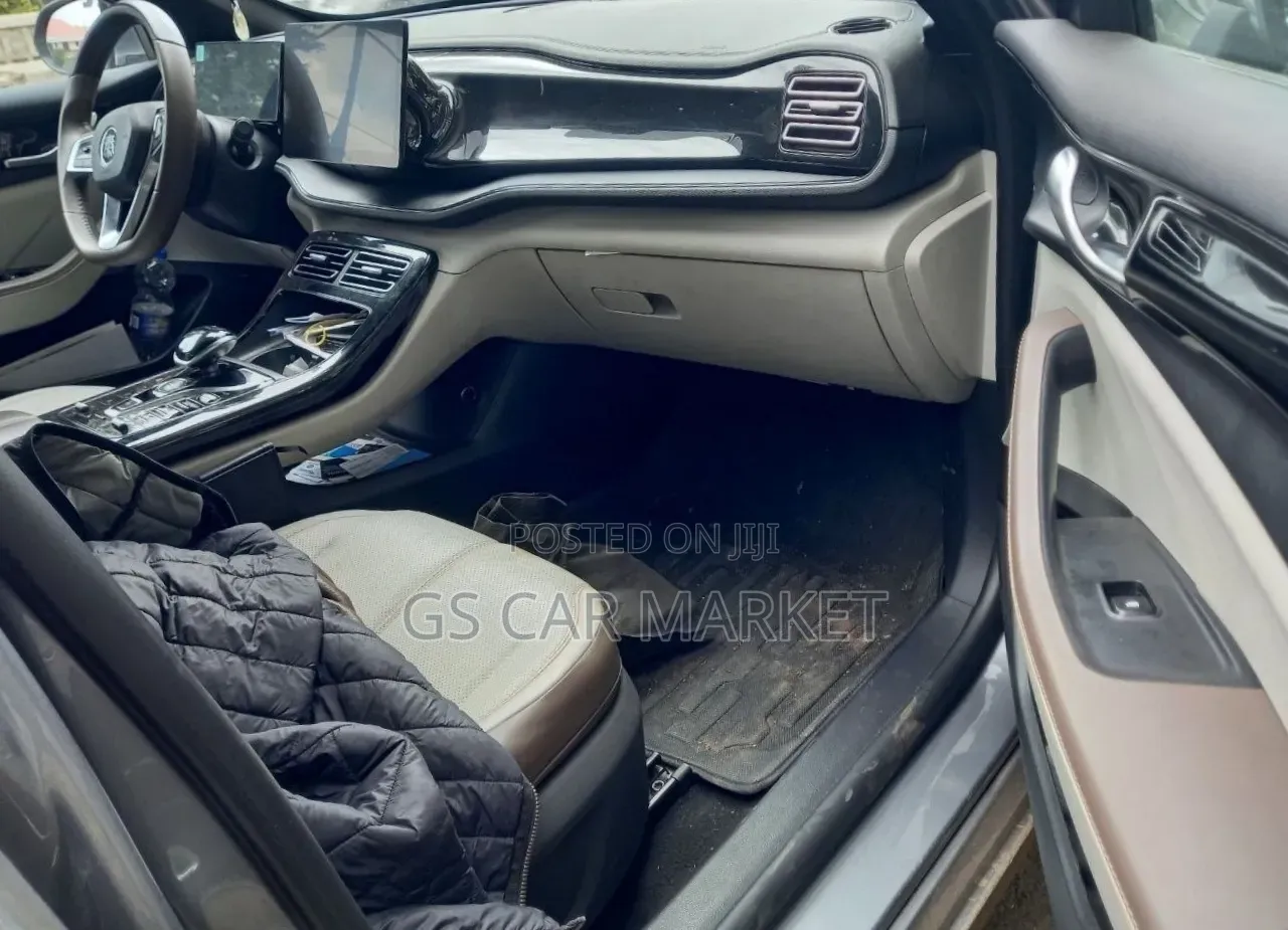 BYD Qin Plus DM-i 2025 Gray