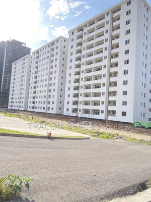 Furnished 3bdrm Apartment in Amdehun Real Estate, Nifas Silk-Lafto